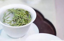 白毫银针为何属于绿茶(白毫银针属于绿茶吗 白毫银针什么口感